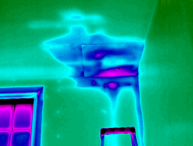 Thermographic Roof Survey Image